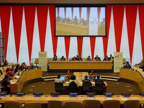 Việt Nam tham dự đối thoại cấp cao về chính sách tại ECOSOC  - ảnh 1